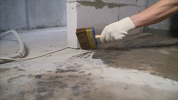 24/7 Emergency Wet Basement Repair experts in Lincoln Park, MI